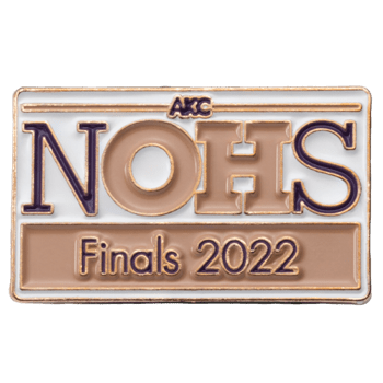 Soft Enamel - Lapel Pins