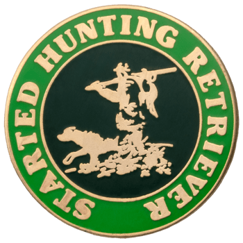 Cloisonné - Lapel Pins