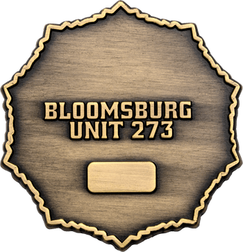 Antique bronze starburst shaped challenge coin with engraved text Bloomsburg Unit 273 and an empty rectangular plate.