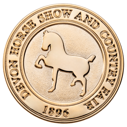 Die Struck - Lapel Pins