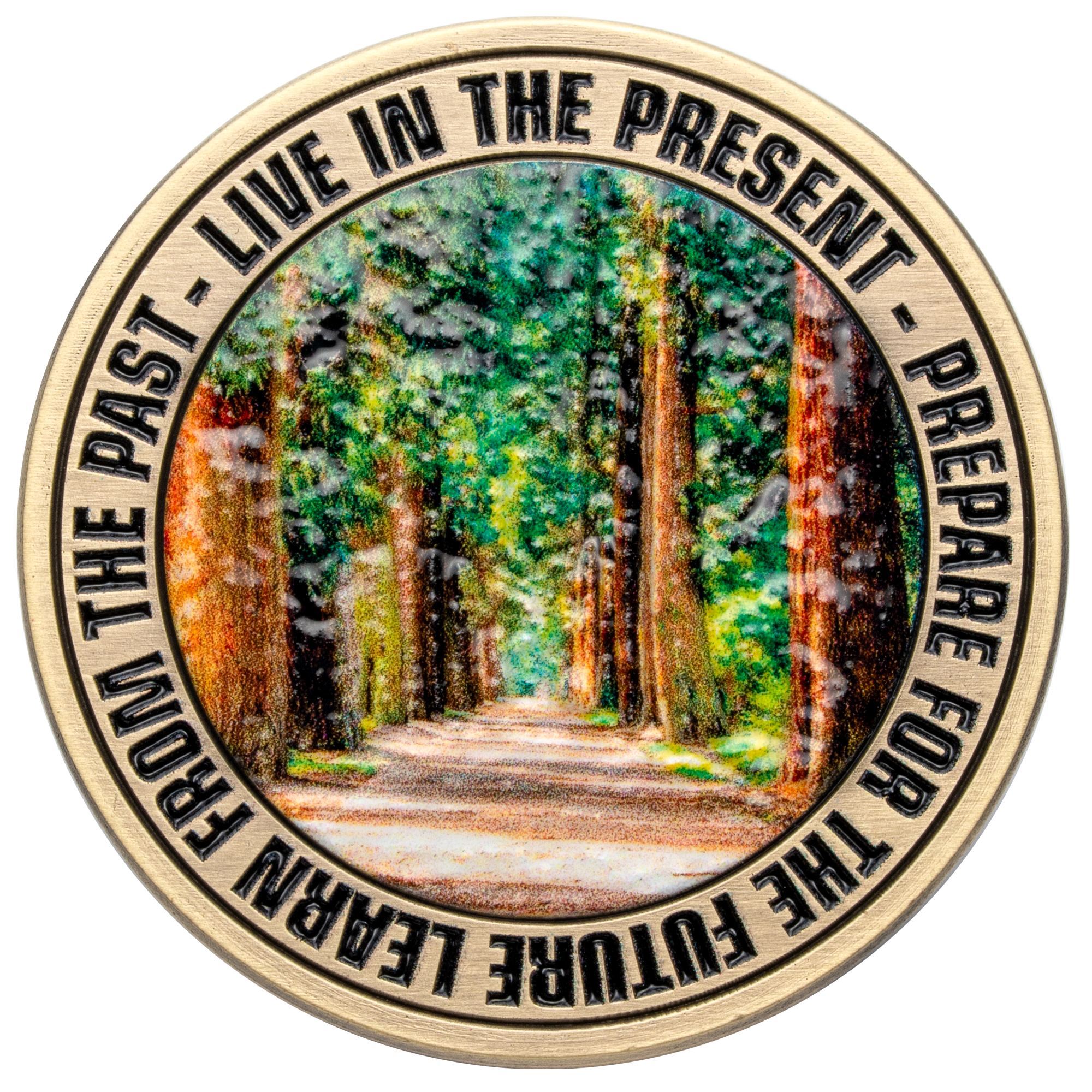 Antique bronze challenge coin featuring a colorful forest path scene and the quote Learn From the Past, Live in the Present, Prepare for the Future.