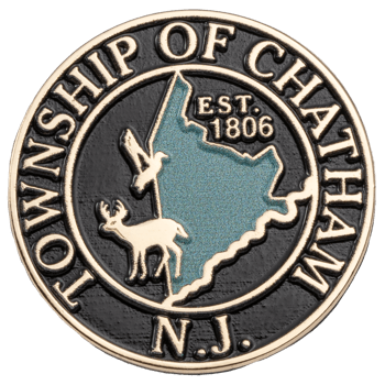 Township of Chatham N.J. lapel pin featuring a map of the township, a deer, and a bird on a black and gold background.