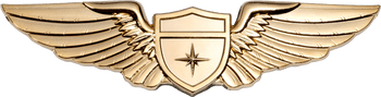 Gold pilot wings lapel pin featuring outstretched feathered wings and a central shield with a four-point star emblem.